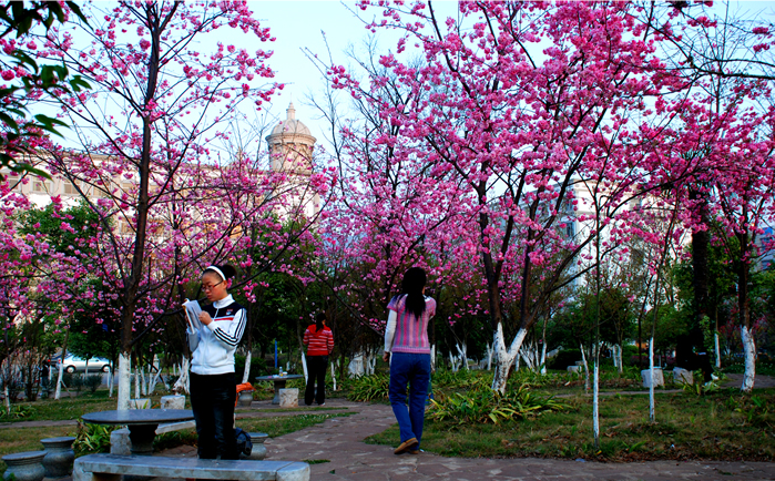 云南师范大学商学院8