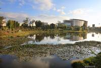 曲靖师范学院——南湖一景