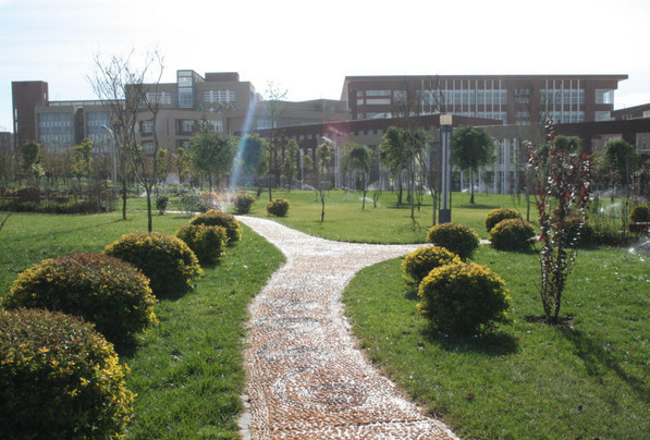 昆明理工大学--晨曦中的呈贡草坪