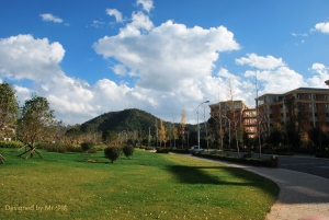 美丽云南大学