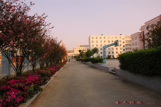 云南国土资源职业学院_花开满园