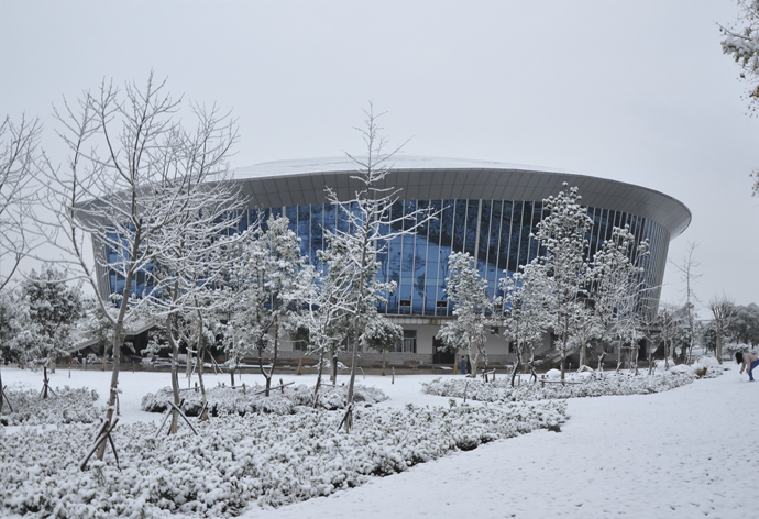 云南经济管理学院_雪中的体育馆