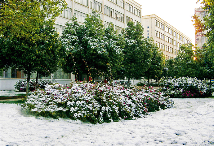 云南经济管理学院_冰雪校园